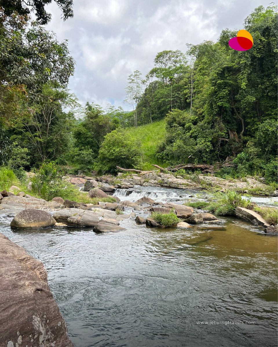 Spring unveils Sri Lanka's tropical wonders, from lush jungles to pristine beaches. Where's your slice of paradise? #TropicalSpring #IslandParadise #jetwingtravels