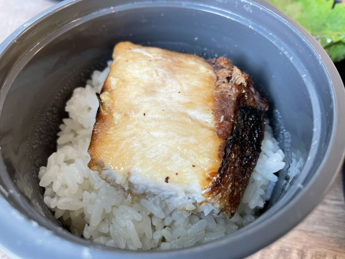 Tasty lunch time has come!😉
The main in my bento(lunchbox) is Grilled Yellowtail & salmon combo. It must taste a bit brackish, but perfect for rice! And the simmered pumpkin is helpful to refresh my mouth. Well, let’s eat😋
#cookingathome 
#お弁当 
#twinglish 
#Twitter家庭料理