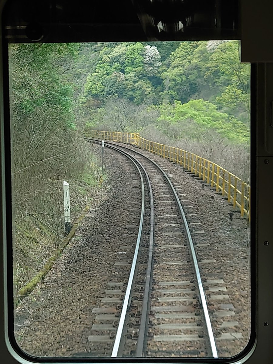 yamakage_grey's tweet image. Ride on time.