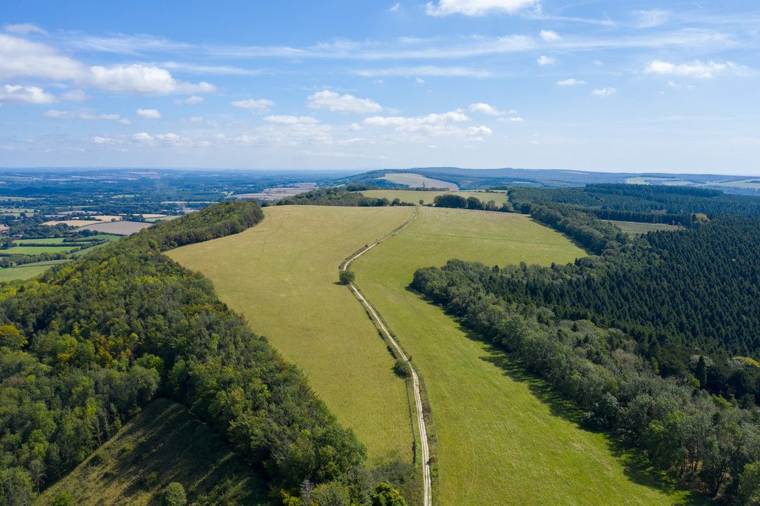 It's easy to see why the Harting Down to Linch Down section of the #SouthDownsWay is so popular. You can feel miles away from anyone else. 📷 Sam Moore #NationalWalkingMonth #WalkThisMay