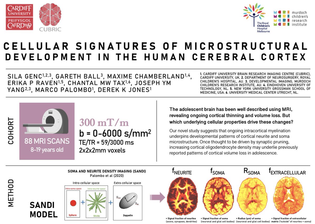 First thing, last day, my talk on cortical microstructural development 🧠 a final chapter in my work @CUBRICcardiff Thur 8:15am Pediatric Neuro Nicoll 3 See you there! #ISMRM2024 #ISMRM24