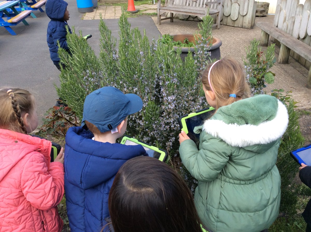 Learning Naturally at Beddington Infants' School tweet media