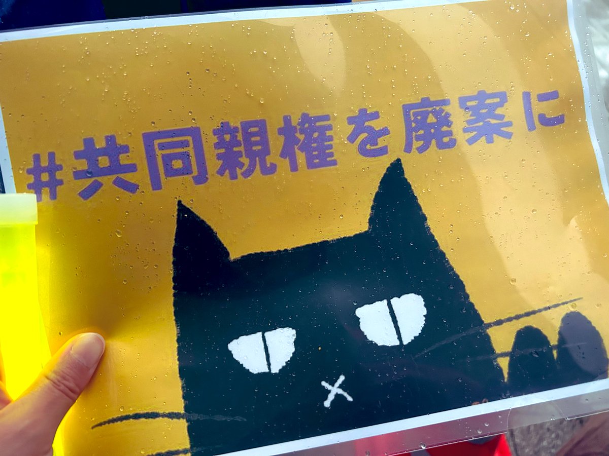 土砂降りの国会正門前ですが、続々と人が集まって、国会正門前の行動始まってます。 #共同親権を廃案に #れっつ炎上共同親権 #STOP共同親権