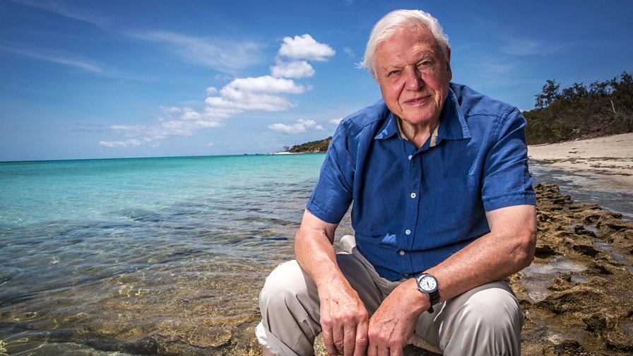 🎊Happy 98th Birthday to the incredible Sir David Attenborough! 🎂 What a fascinating life you've led so far, educating and inspiring generations about our natural world 🗺️ From all of us at Orsted, we hope you have a wonderful day 🌱