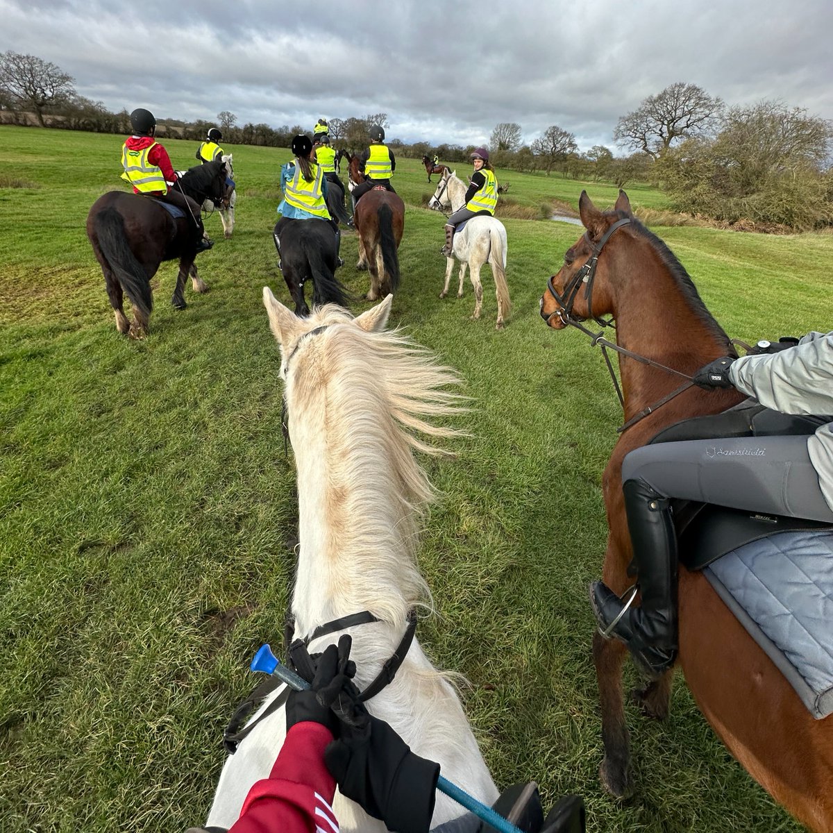 Did you know that @WarwickSU have over 250 societies covering a wide range of student interests - including horse riding 🐎 Saddle up and find out more from Warwick Riding Club's Elmira (first year, BA Politics and International Studies) ⬇️ bit.ly/3WeXium