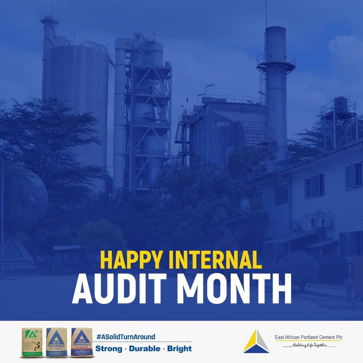 Happy Internal Audit Month!