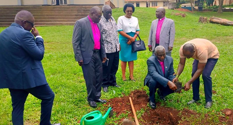 Bishop of Rwenzori Diocese and who serves as the Chairperson of the Cluster planted Marhogany tree at Namugongo Anglican site as part of conserving the Environment the call made by the @Archbp_COU during the #Environmentalweek2024. 📸@Bernardkwiri