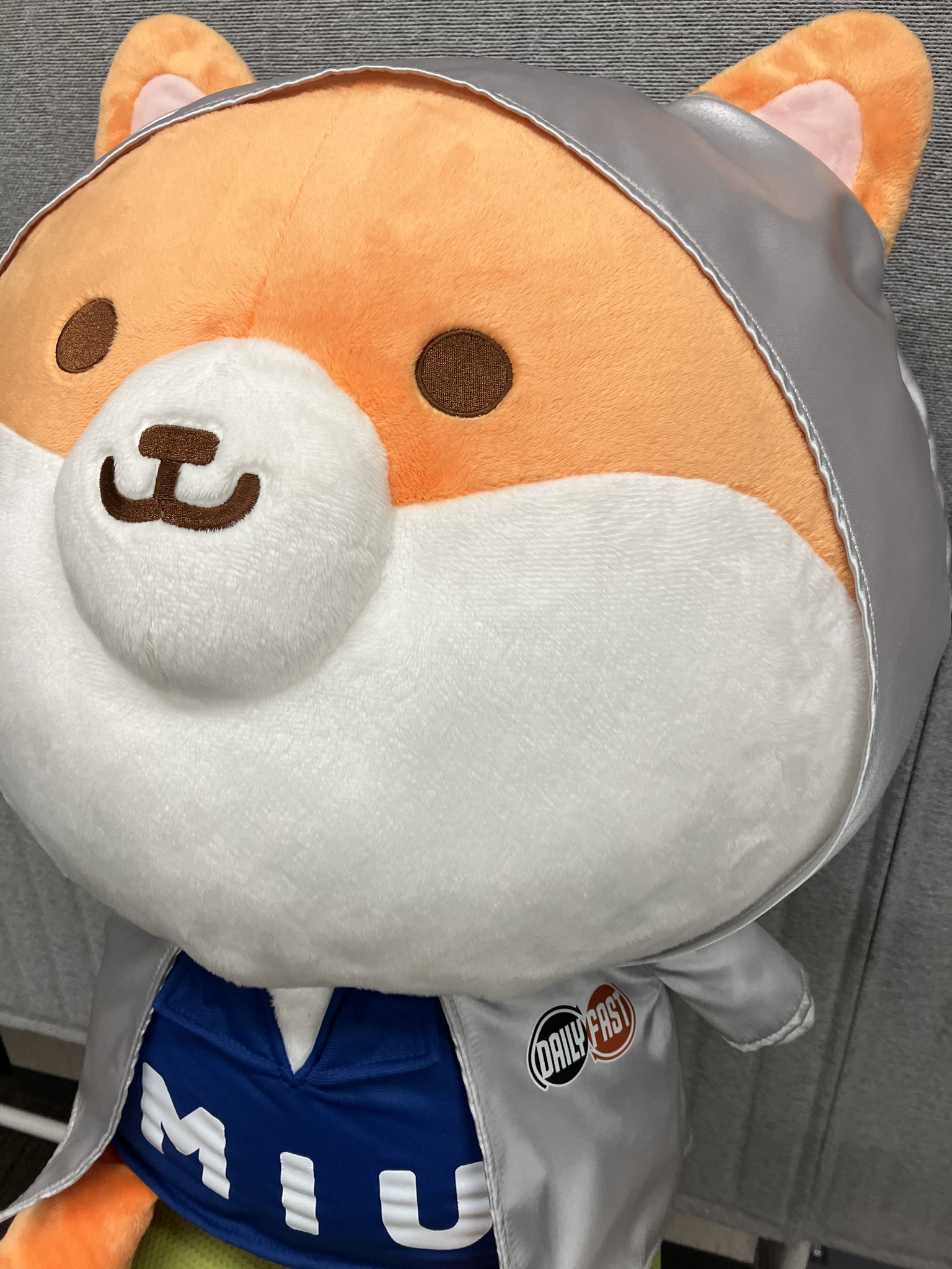 トップ なかこ on  X: ぬいぐるみ