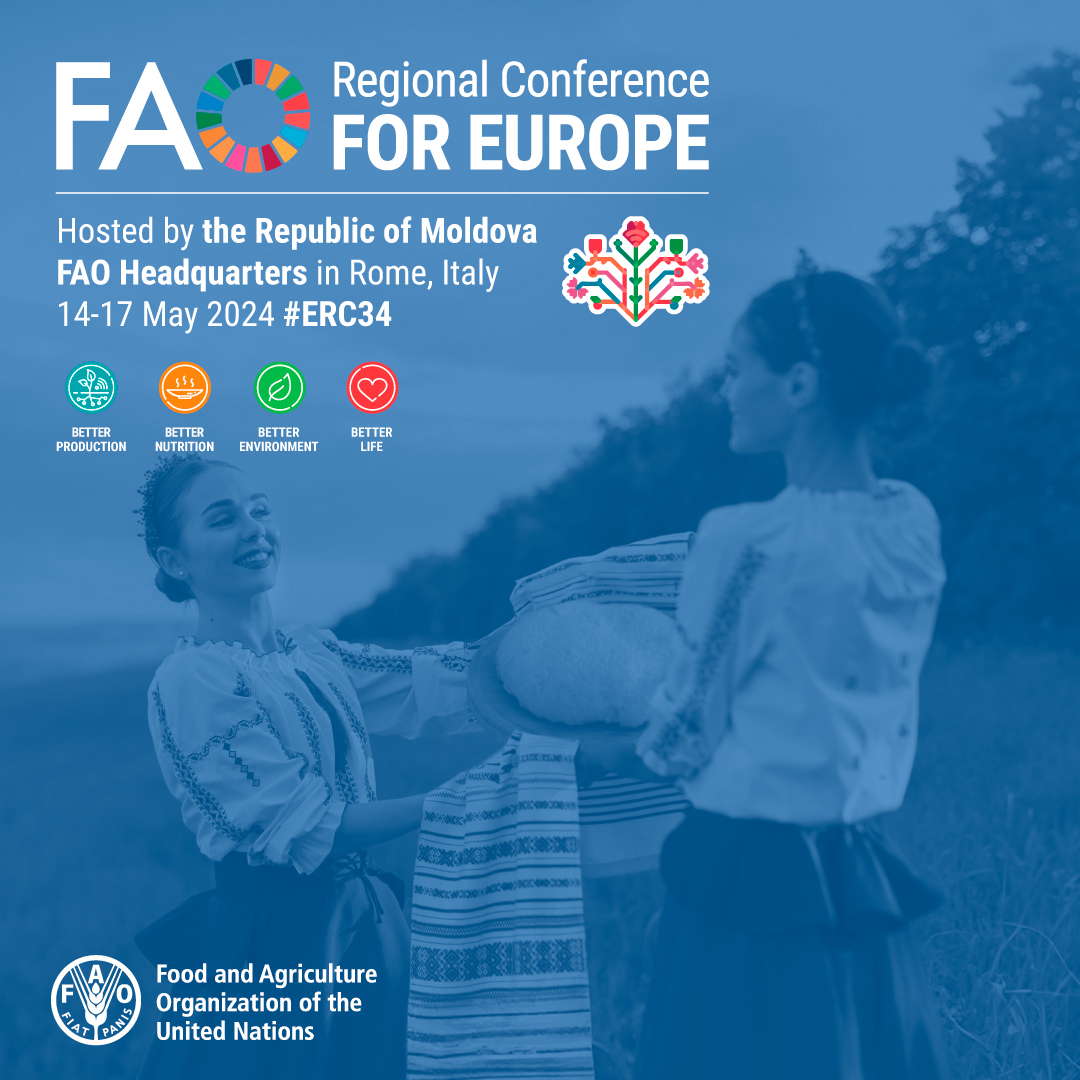 📢 Save the date | The 34th Session of the @FAO Regional Conference for Europe is happening 14-17 May 2024. #ERC34 is dedicated to fostering sustainable agrifood systems: united for a more people-centered, prosperous, and shared future. Learn more 👉 bit.ly/3UiWLFf