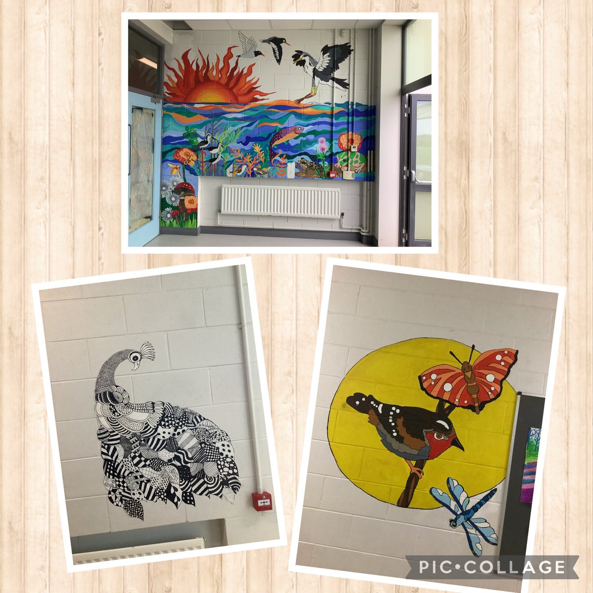 Our art students have continued to add to our walls incorporating SDG 14 and 15! 🌎🐝🐞🪲🦋🌺🌼 #MayDay2024 <a href="/Take1_Programme/">Take 1 Programme</a> #take1mayday