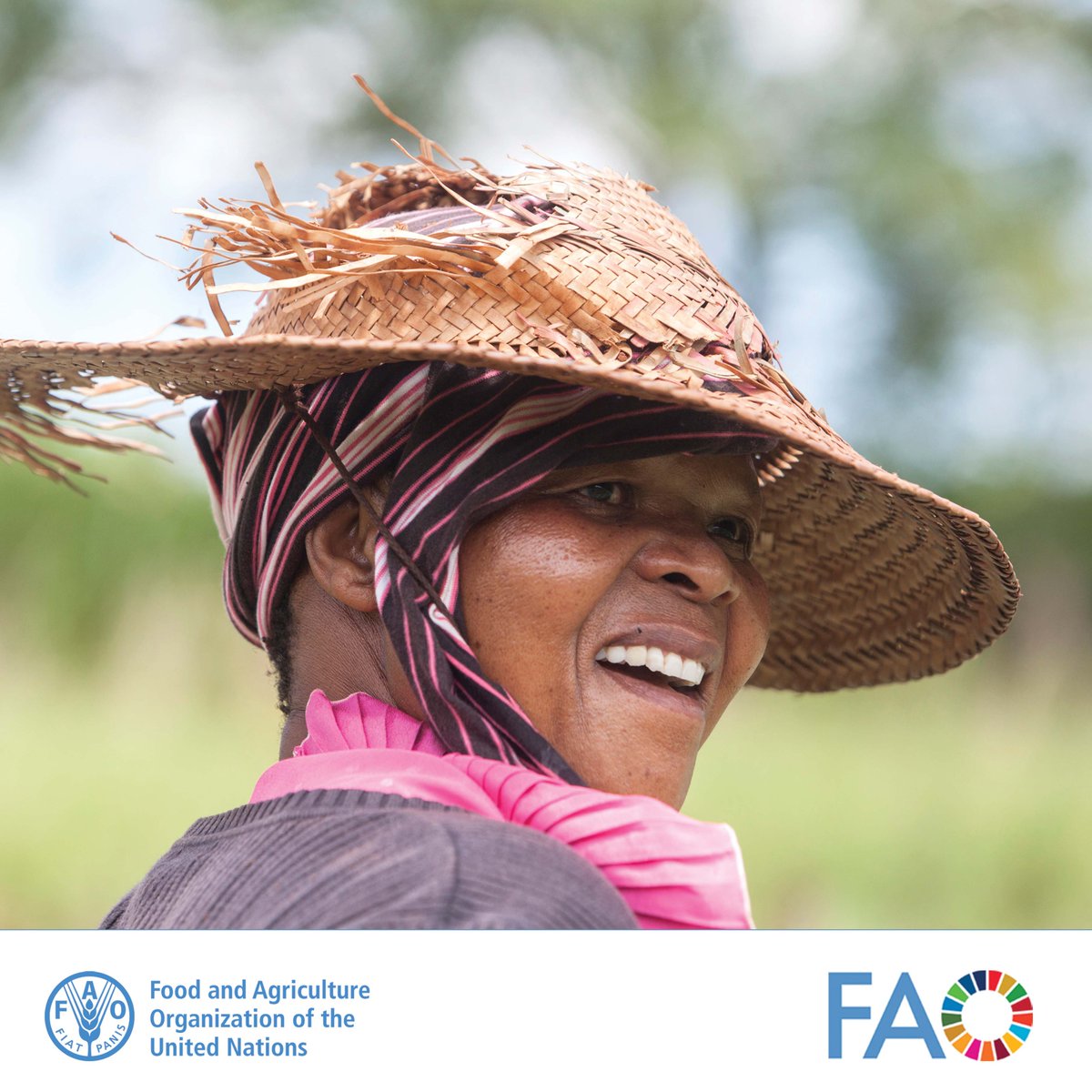 Closing the gender gap in agrifood systems isn't just crucial for women and families, it's essential for our entire economy. Let's invest in policies and programs that uplift rural women and pave the way for a stronger, fairer future. #SustainableAgriculture 🌱💪