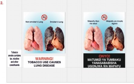 Health messages on tobacco product packages should be clear, legible, and printed according to specifications.

#GHWsSaveLives
#FCTCSavesLives