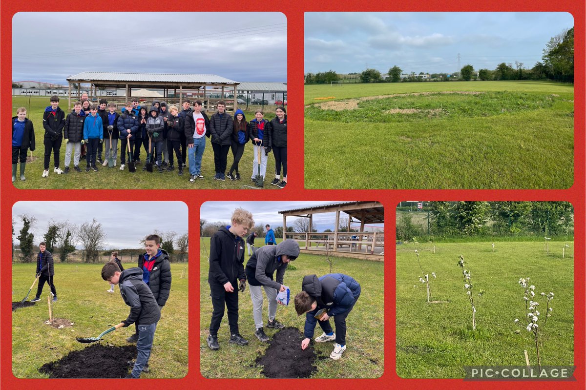 Celebrating #take1mayday and #take1programme with our own version of the Metre of Meadow... @Take1_Programme #sustainability @accsirl