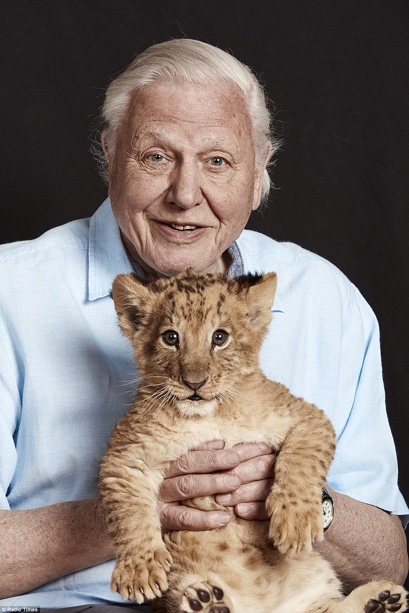 Happy 98th birthday to Sir David Attenborough. David i Smol.
