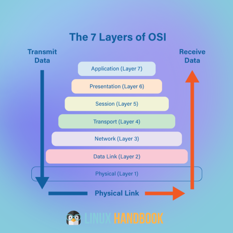 Networking basics - OSI layers