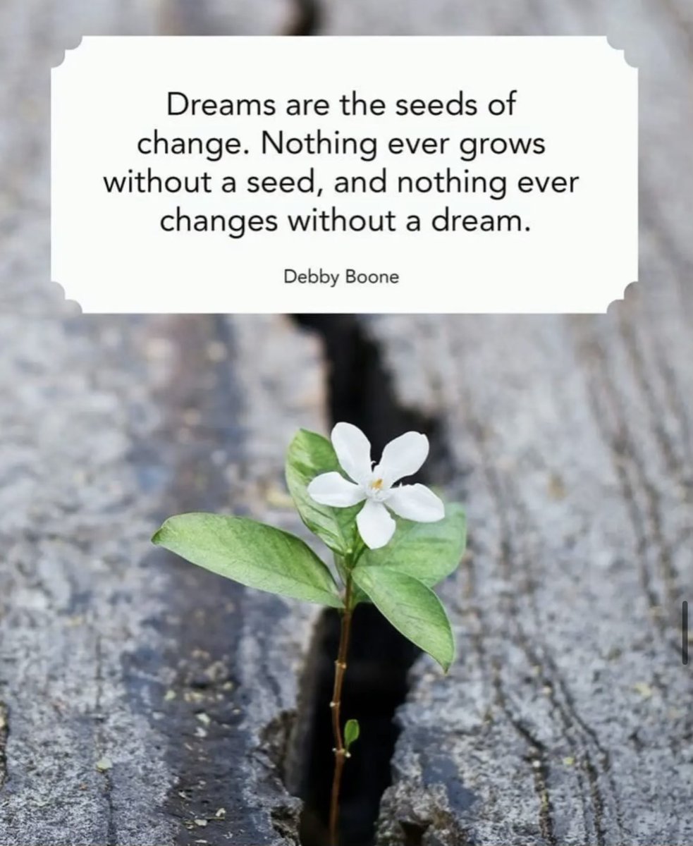 Healing_Recover's tweet photo. ✨#wednesdaythought

"Dreams are the seeds of change. Nothing ever grows without a seed, and nothing ever changes without a dream" - Debby Boone

With nurture, intention, and care our visions &amp; dreams can become reality ☀️

#WednesdayMotivation #WednesdayDevotion #DareToAchieve https://t.co/2EJPeMCIsx