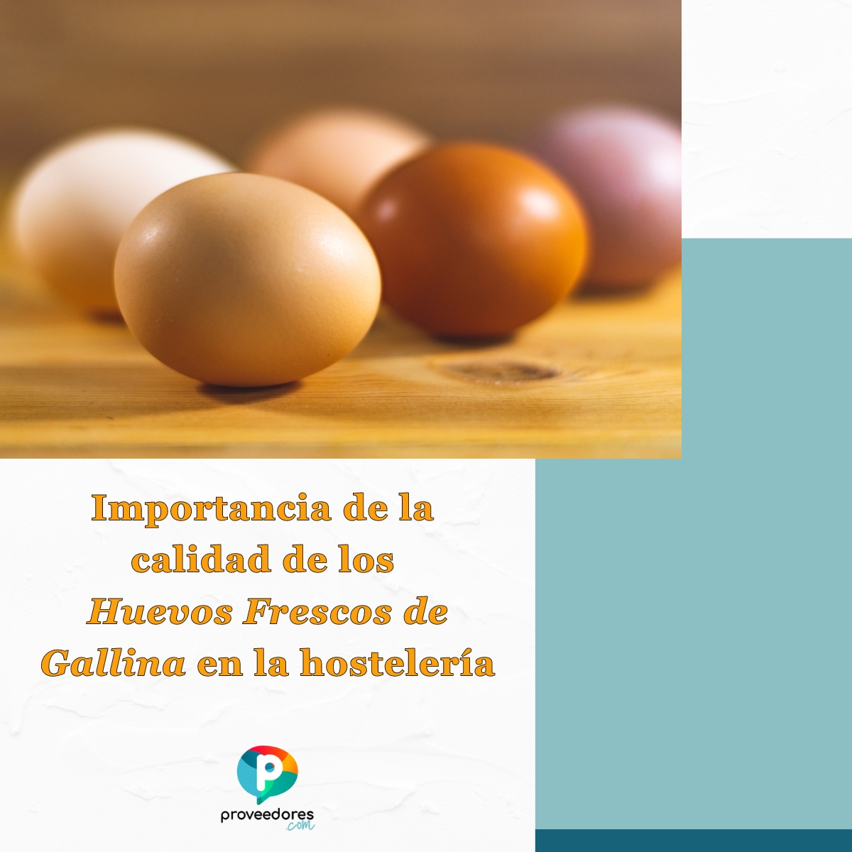 Proveedores_com's tweet image. En la hostelería, cada detalle importa. Desde la selección de ingredientes hasta la presentación final. ¡Y los Huevos Frescos de Gallina son clave! 🥚👩‍🍳

Más detalles aquí: i.mtr.cool/zuiihwwiee

#ProveedoresDeHuevosFrescosDeGallina #HuevosFrescosDeGallina #Hostelería