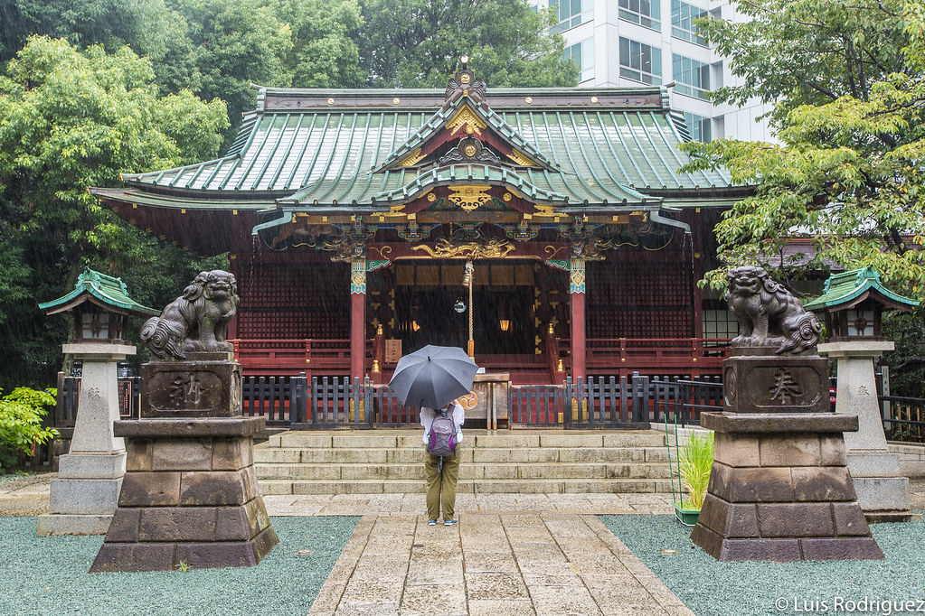 Pronto empieza la época de lluvias, así que te damos ideas de qué puedes hacer en Japón cuando llueve. Porque la lluvia no tiene por qué ser un impedimento y puede ser casi una «excusa» para disfrutar de teatros, cafeterías, museos, mercados, onsen… japonismo.com/blog/que-hacer…