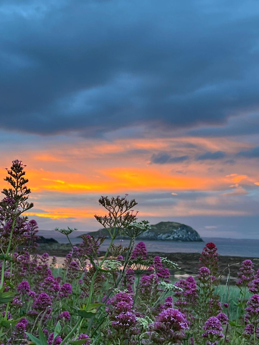 🌅 Sunsets are proof that no matter what happens, every day can end beautifully #NorthBerwick