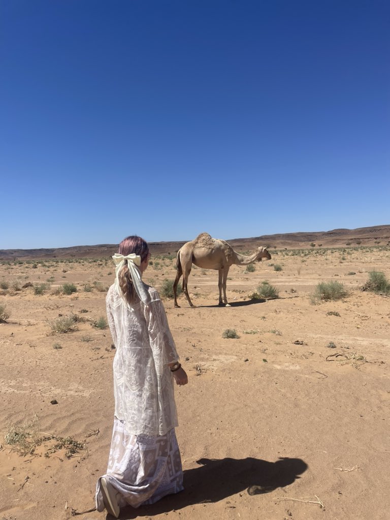 Look! 🎀 I found a beautiful wild camel! 🐪