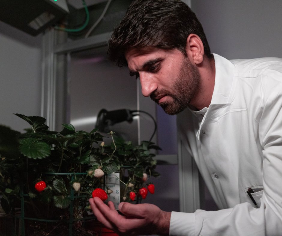 University of Essex tweet media