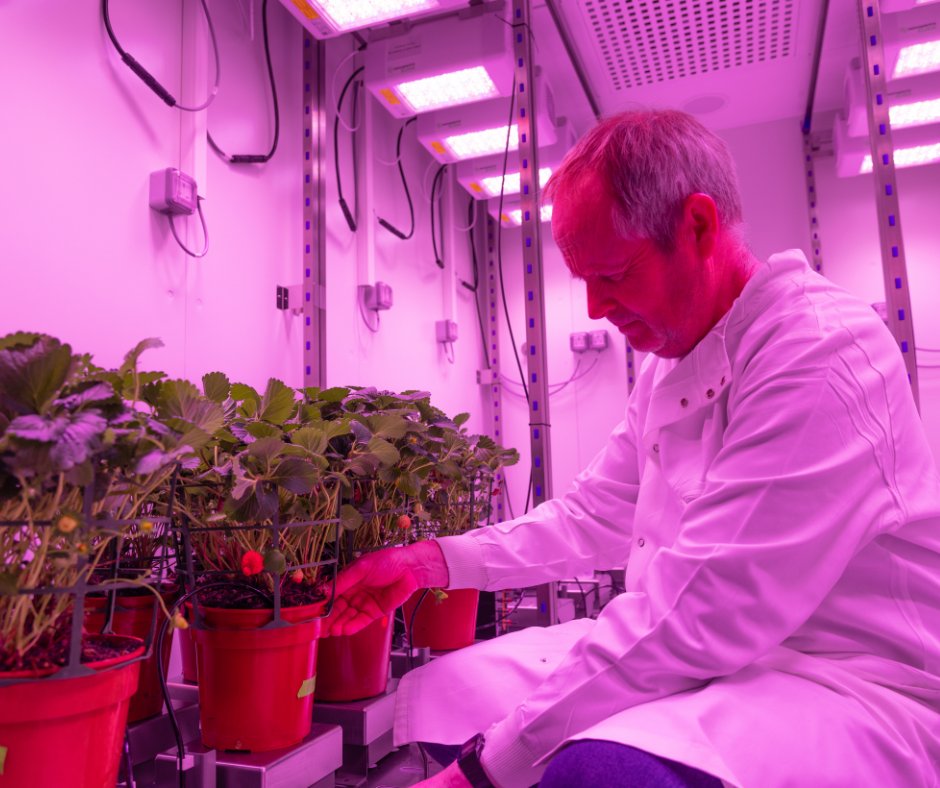 University of Essex (@uni_of_essex) on Twitter photo A unique £3m plant lab will put Essex <a href="/EssexLifeSci/">School of Life Sciences, University of Essex</a>
researchers on the frontline in the fight against climate change and create crops for “tomorrow’s atmosphere today”.
The flagship facility, created with <a href="/wolfsonfdn/">Wolfson Foundation</a> and <a href="/iAgriTech/">Innovation Agritech Group</a> opens today.
brnw.ch/21wJztB A unique £3m plant lab will put Essex <a href="/EssexLifeSci/">School of Life Sciences, University of Essex</a>
researchers on the frontline in the fight against climate change and create crops for “tomorrow’s atmosphere today”.
The flagship facility, created with <a href="/wolfsonfdn/">Wolfson Foundation</a> and <a href="/iAgriTech/">Innovation Agritech Group</a> opens today.
brnw.ch/21wJztB