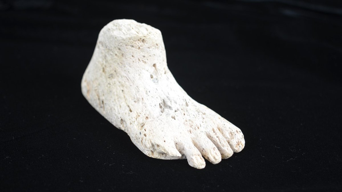 This strange object from last week's #WhatsItWednesday post can be revealed as... A #pumice foot souvenir from Indonesia! The maker of this model clearly knew you can use pumice to remove dead skin off feet! #LapworthRocks #museum #geology #rock #volcano #igneous #tectonic