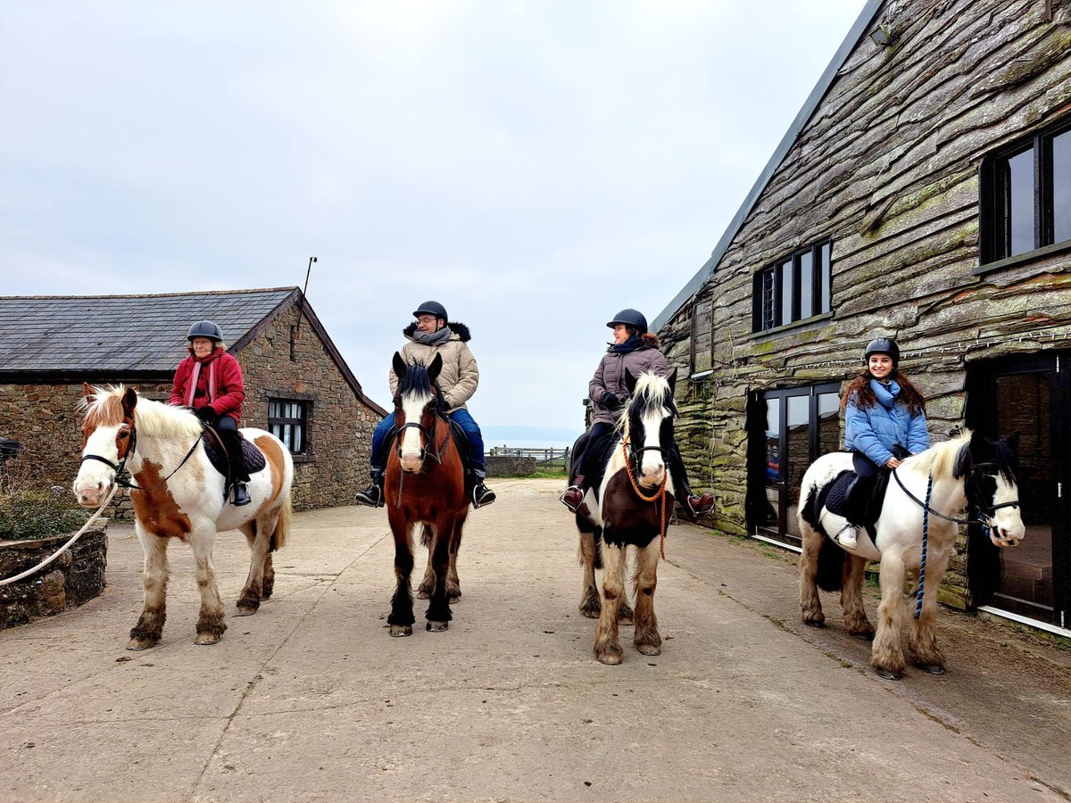 We love to see multi-generational families riding together. 

If you'd like to book your family in for a lesson or leisurely led walk, see our website for full information. 

#HorseRiding #FamilyActivities #ClyneFarmCentre #FamilyRunBusiness #BookDirect #Swansea #LoveWales