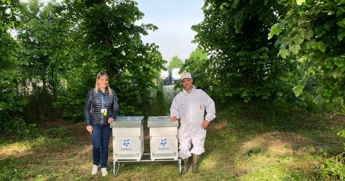 SasolSA's tweet image. Exciting news from #TeamSasol in Italy! 🇮🇹 We've recently adopted 2 beehives at our Terranova site &amp;amp; 2 at our Sarroch site because we're passionate about protecting biodiversity. Read  linkedin.com/feed/update/ur… #SasolChemicals #SasoIItaly #Beehives #Biodiversity #SasolinSociety