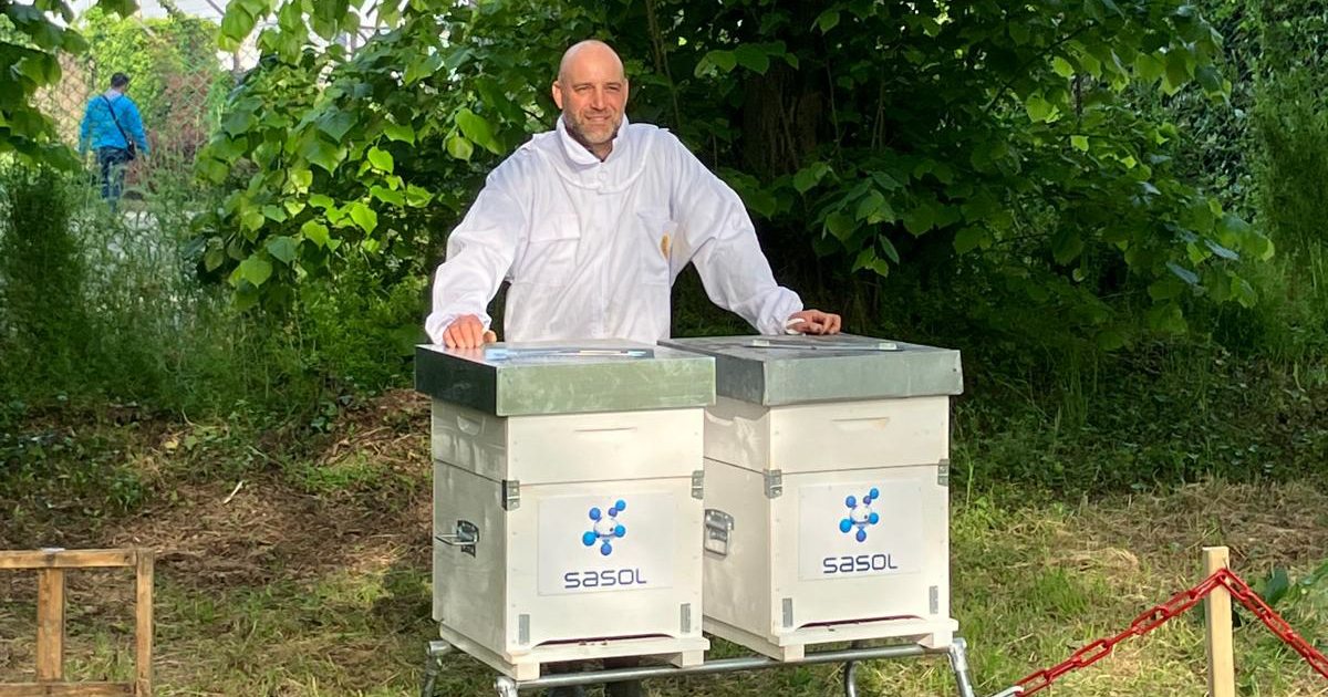 SasolSA's tweet image. Exciting news from #TeamSasol in Italy! 🇮🇹 We've recently adopted 2 beehives at our Terranova site &amp;amp; 2 at our Sarroch site because we're passionate about protecting biodiversity. Read  linkedin.com/feed/update/ur… #SasolChemicals #SasoIItaly #Beehives #Biodiversity #SasolinSociety
