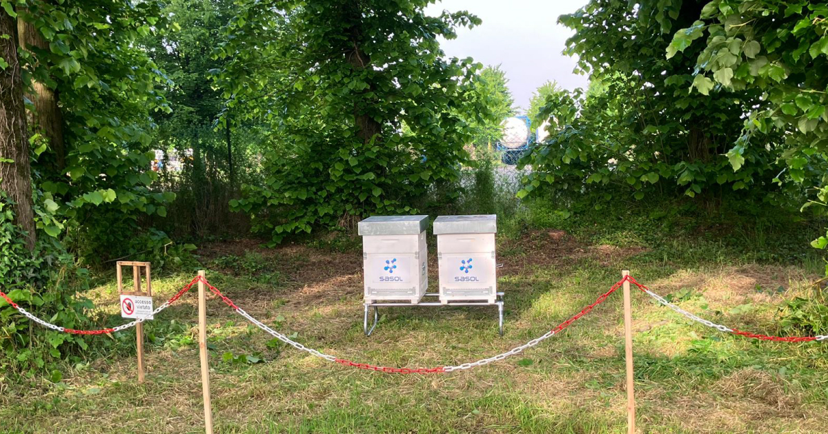 SasolSA's tweet image. Exciting news from #TeamSasol in Italy! 🇮🇹 We've recently adopted 2 beehives at our Terranova site &amp;amp; 2 at our Sarroch site because we're passionate about protecting biodiversity. Read  linkedin.com/feed/update/ur… #SasolChemicals #SasoIItaly #Beehives #Biodiversity #SasolinSociety
