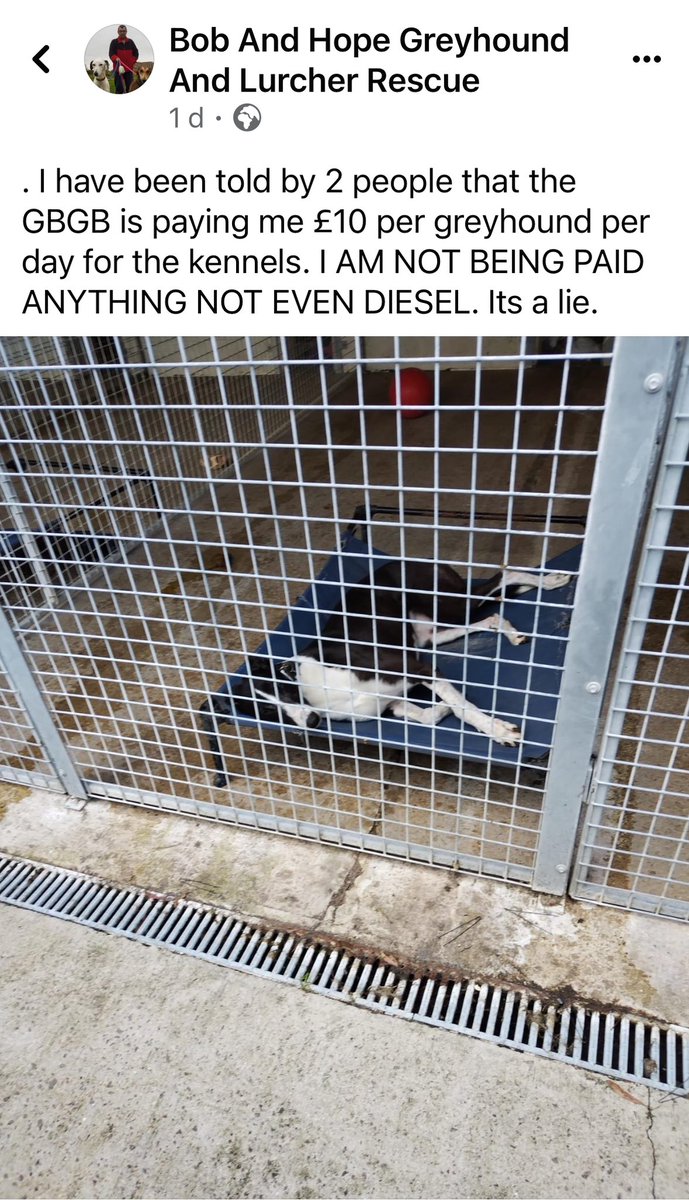 Following the disgusting spectacle at @crayfordstadium on 26 March, 32 of Kerry Daly’s #Greyhounds have been taken in by a rescue centre. This self-congratulatory post from @GreyhoundBoard glosses over the fact that there were no spaces in any GRS funded kennels. #CutTheChase