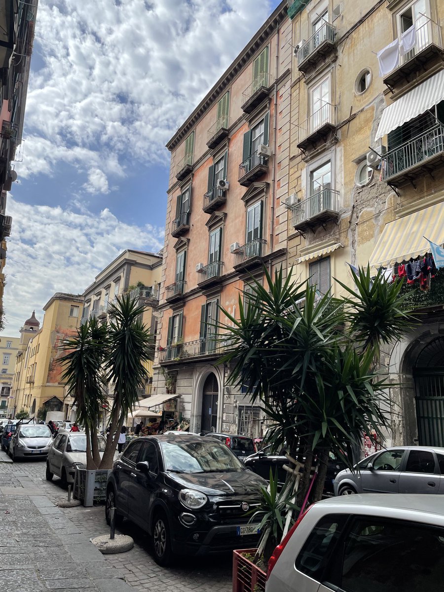 Miranda France tweet media