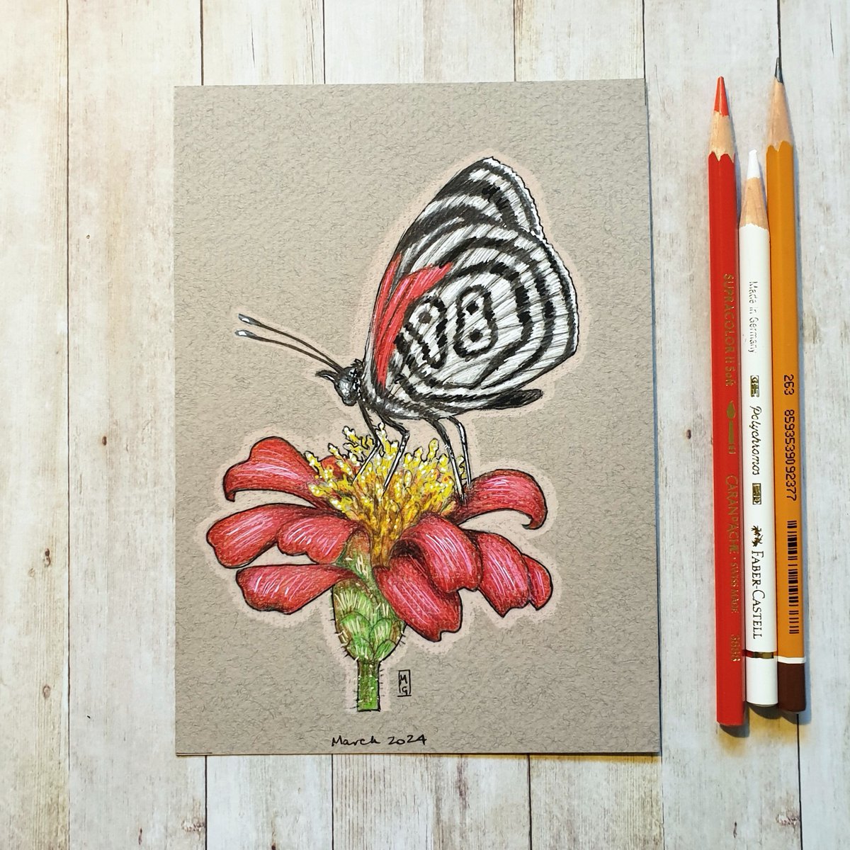 Thanks for the kind words! 
★★★★★ 'A butterfly drawn so magically, I love it' JK
etsy.com/shop/TheWeeOwl…
#OriginalArt #drawing #PenAndInk #ColourPencil 
#MixedMedia #artwork #art #TraditionalArt 
#insect #insects #InsectArt #InsectDrawing 
#GiftIdeas #Etsy
