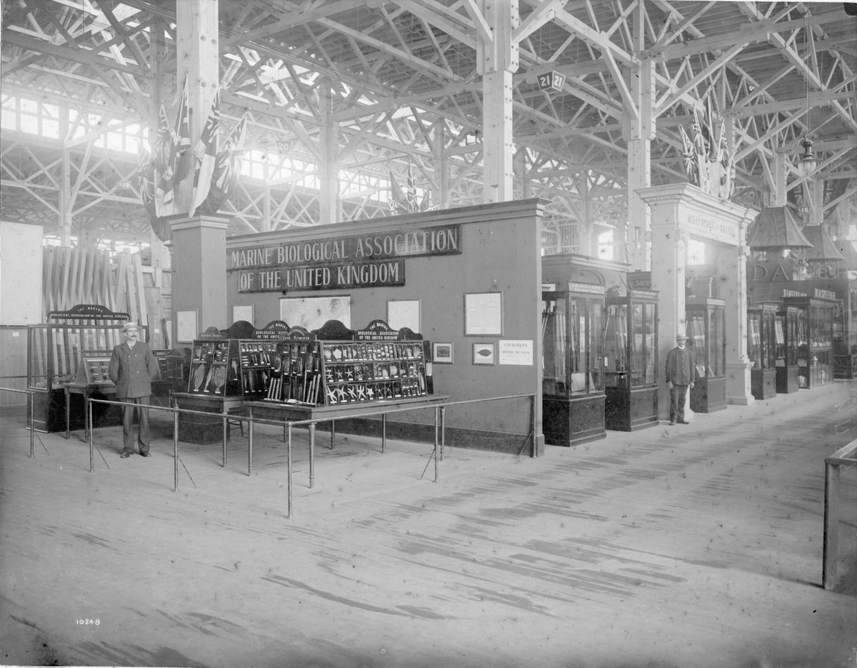 It's #EYAScience month so we've done a little #archivedive and found this photograph of @thembauk exhibiting in the science section of the Franco-British Exhibition, 1908. By this time the MBA had been the voice of marine biology for 24 years #MBA140