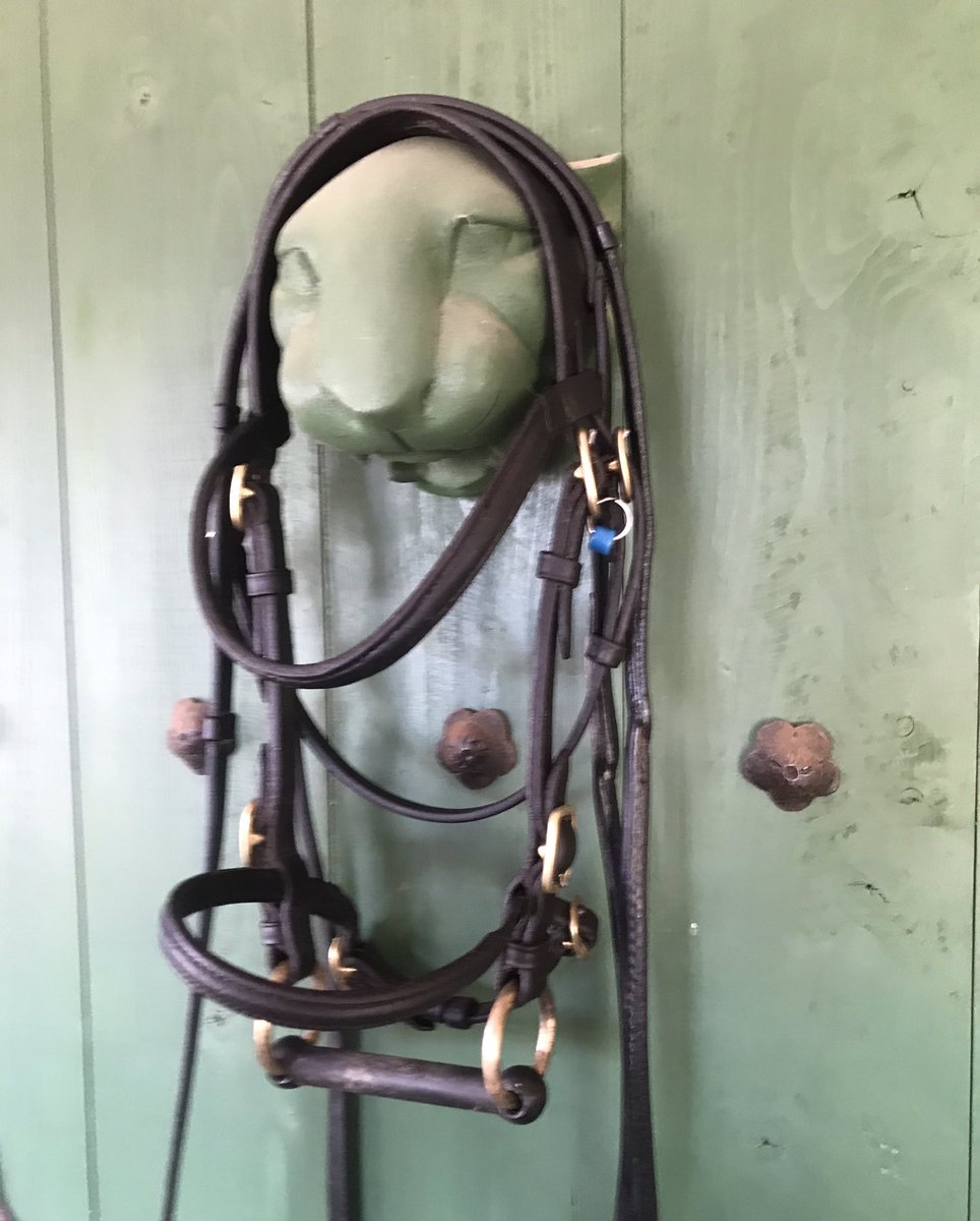 His fathers show-bridle is cleaned, the brass polished and we’re ready for a little practicing. It’s been a while…. 
#ponyhour #ShetlandPony