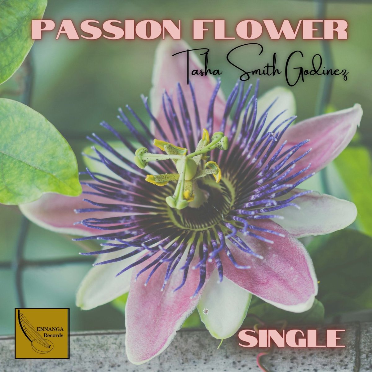 The sweet new single by @HarpbyTashaSG PASSION FLOWER - ahead of new summer 2024 album A NEW DAY - this track is full of harp magic - world, jazz, avant garde and releases on 24 May through #ennangarecords.... #harpmusic #SanDiego #worldmusic #passionflower
