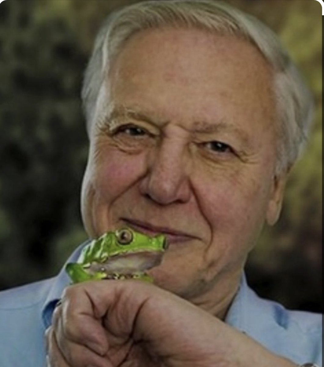 A very happy 98th birthday to #SirDavidAttenborough the best man at the #BBC. Long may he continue. 👏🏻👏🏻👏🏻👏🏻👏🏻👏🏻👏🏻👏🏻👏🏻👏🏻👏🏻👏🏻