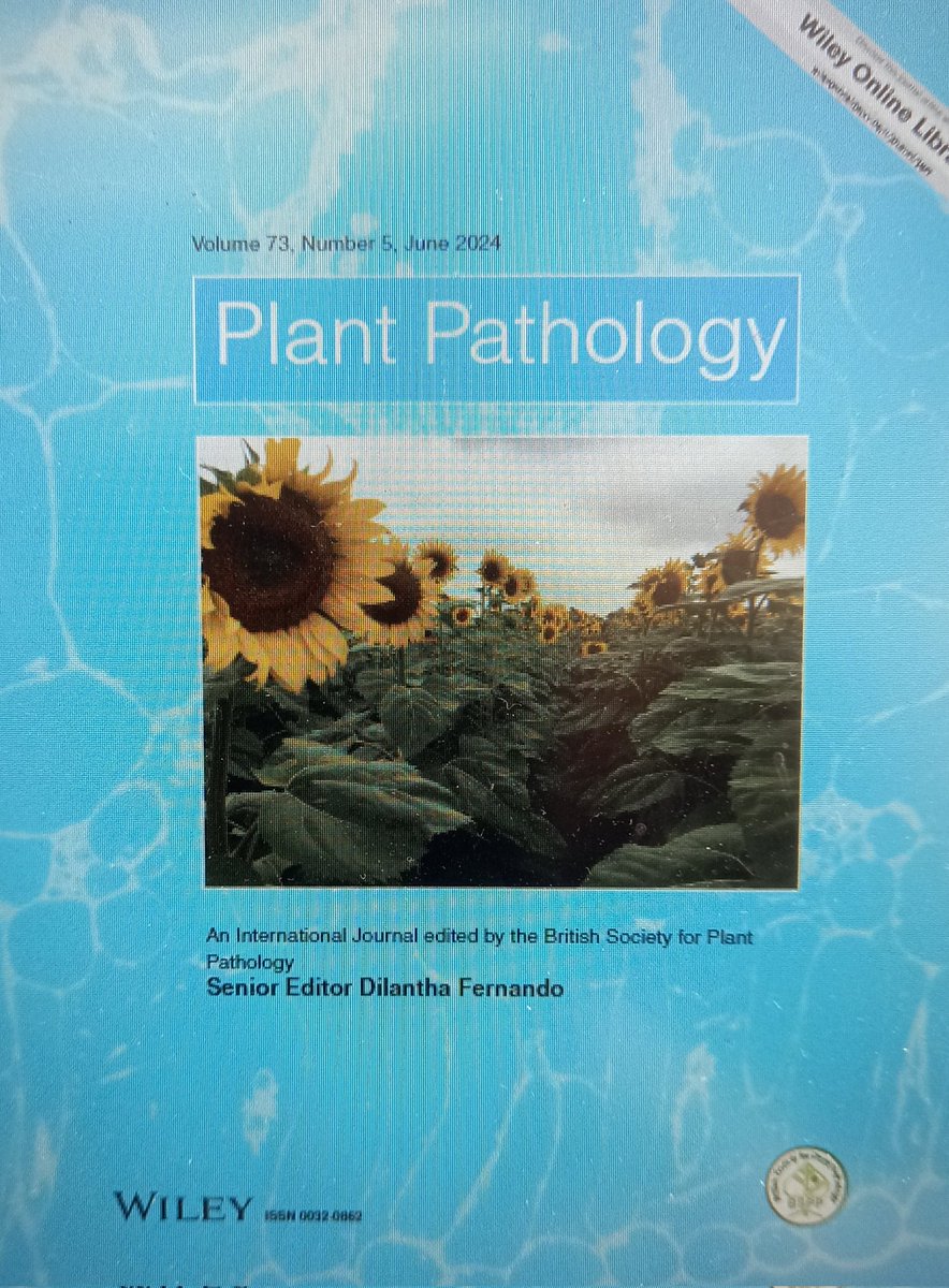 Well this is exciting! My first Journal cover. My photo made the cover of the Plant Pathology June Issue! My photographer father would have been proud. See our recent paper in this edition on Sclerotinia head rot in Sunflower! doi.org/10.1111/ppa.13… @Fabiteam1 @UPPlantAndSoil