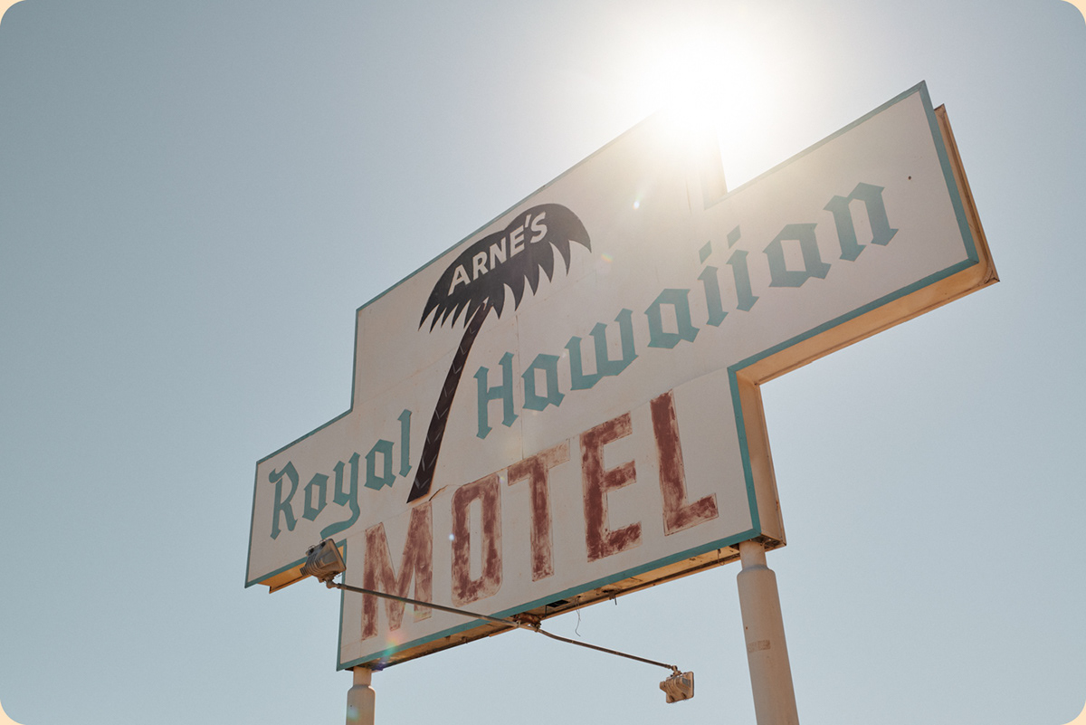 Binocular Studio tweet media