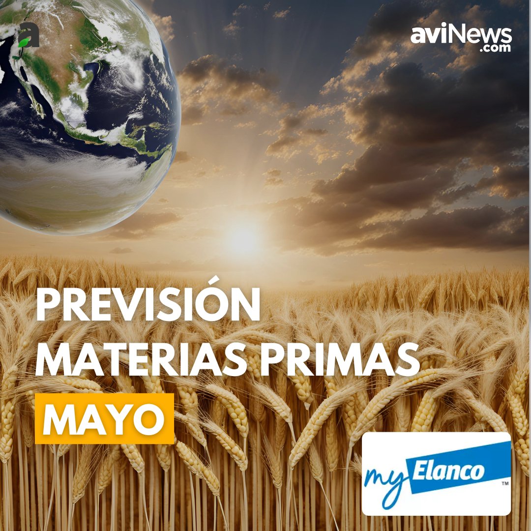 ¿Cuál es la #previsión para el #mercado de #materiasprimas de mayo? 🌾

➡️ Gracias a @Elanco, hemos podido conocer la situación que atraviesa el sector de materias primas y su implicación en el mercado de puesta.