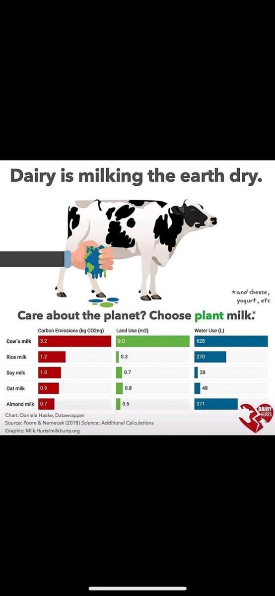 Dairy is environmentally unsustainable.