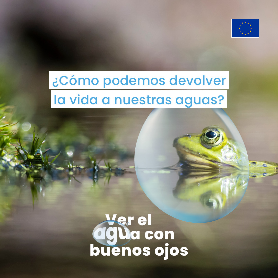 El agua NO es un recurso infinito🌊 Es esencial para la vida, pero el ciclo del agua se ve alterado por el cambio climático y la degradación de los ecosistemas.🌎 Salvaguardar la #naturaleza🟰restablecer el equilibrio Campaña #WaterWiseEU de @EU_ENV ⬇️ environment.ec.europa.eu/topics/water/w…