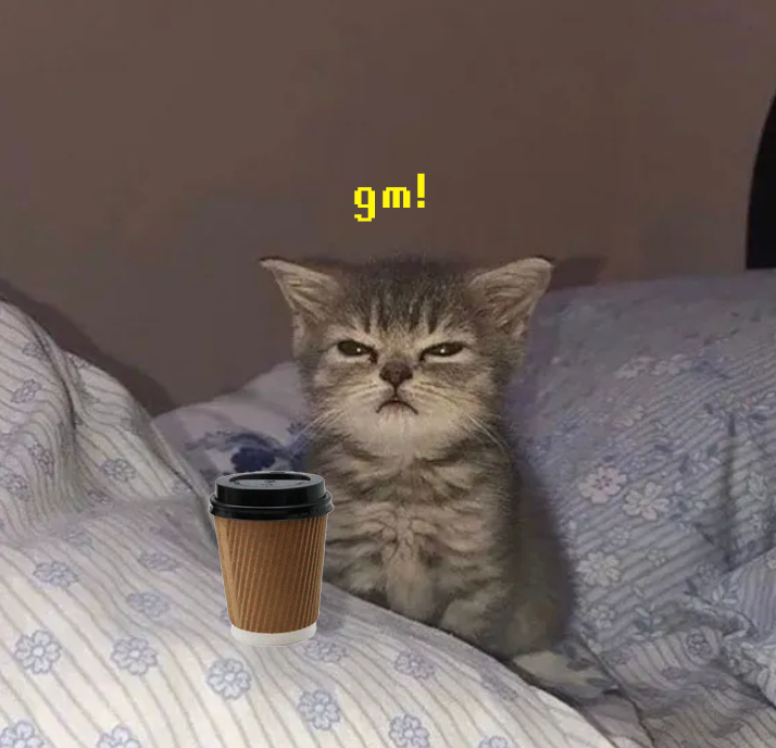 shochi wakey ☕️⛅️