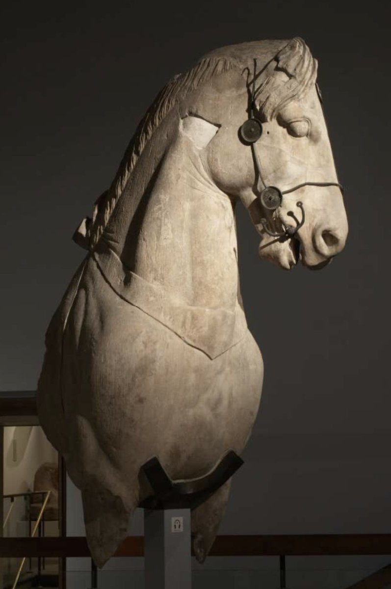 Voici l'un des chevaux qui tiraient le quadrige perché au sommet du Mausolée d'Halicarnasse, l'une des Sept merveilles du monde antique. Milieu du IVe siècle av. Jésus-Christ, British Museum. Marbre.