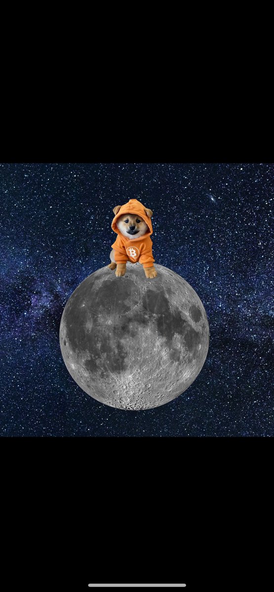 eth_cipher's tweet image. $DOG had no presale
$DOG had no team allocation
$DOG has no insiders
$DOG has no paid KOLs
$DOG did not do paid promo 
$DOG did not favor whales
$DOG is 100% distributed free and fair
$DOG is 100% circulating
$DOG will not pay CEXs for listings
$DOG will not pay market makers