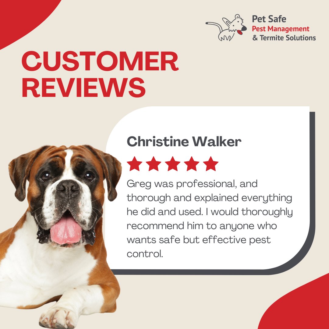 Thanks to Christine for the glowing review of our Pet-Friendly Pest Management services! 🌟

Check out our services: bit.ly/48QbrB7

#CustomerAppreciation #HappyCustomers #PetSafePestManagement #PSPM #PetSafePestManagementTermiteSolutions