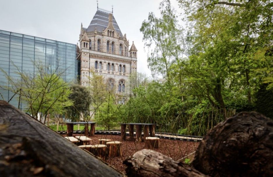 The @NHM_London's transformed gardens reopen on 18 July. A bronze Diplodocus cast has been installed (it's not Dippy!) The garden is a free-to-visit green space in the heart of London, as part of the Museum's Urban Nature Project.