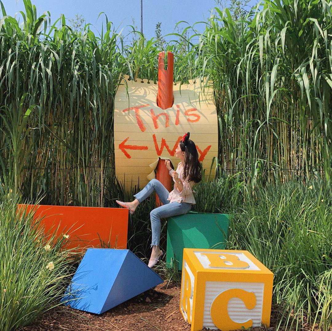 The wind is free What about me?