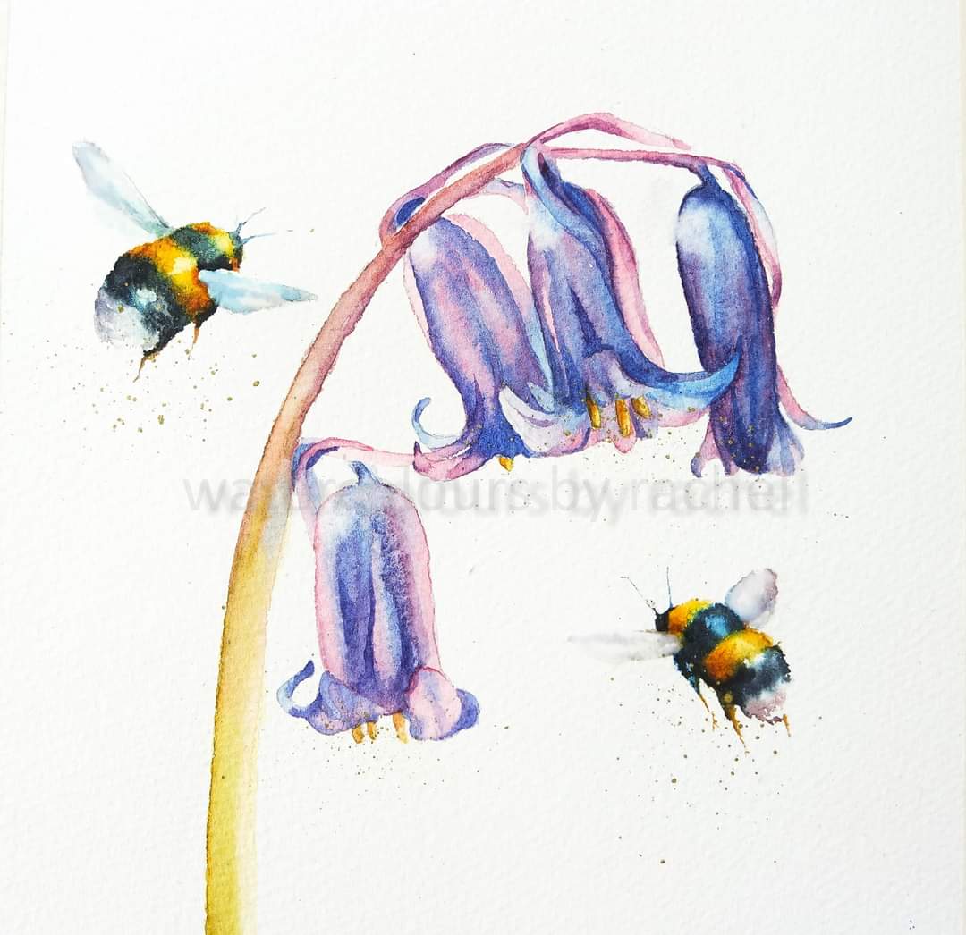 Still enjoying the bluebells Happy Wednesday x #watercolour #watercolourpainting #bumblebees #bluebells #pollinators #bluebellwoods #bees #wildflowers #woodland #Spring #art #painting #artist #paint #Devon #savethebees